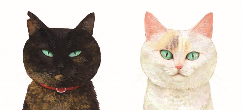 隙あらば猫 町田尚子絵本原画展｜九州芸文館（筑後広域公園芸術文化